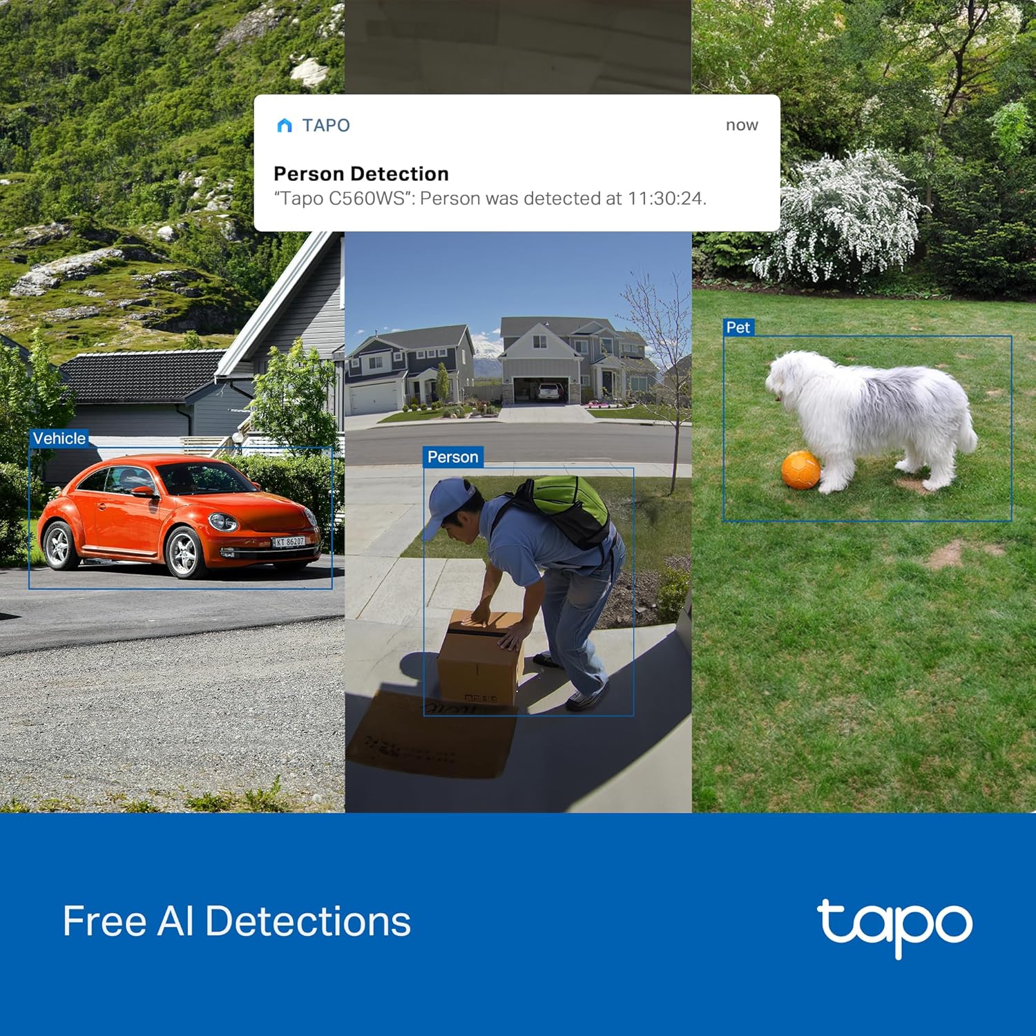 Outdoor Security Bundle PTZ Wired - Image 4